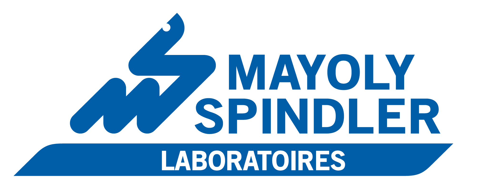 logo mayoly